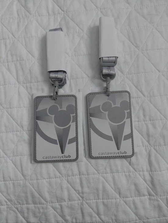 Set Of Two Disney Castaway Club Gray Lineyard - Gray