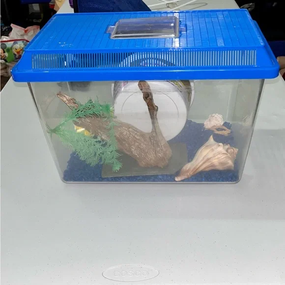 HOST PICK - Fish Tank Aquarium with Accessories