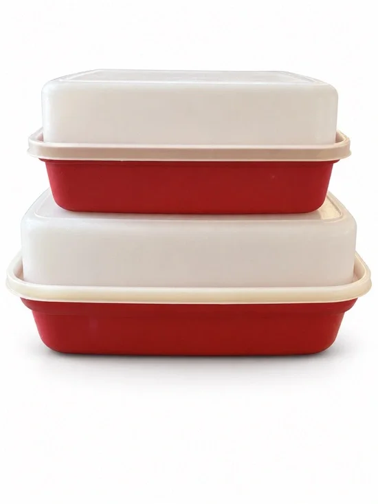Vintage Tupperware Season ‘N Serve Marinade Containers with Lids Covers Set of 2