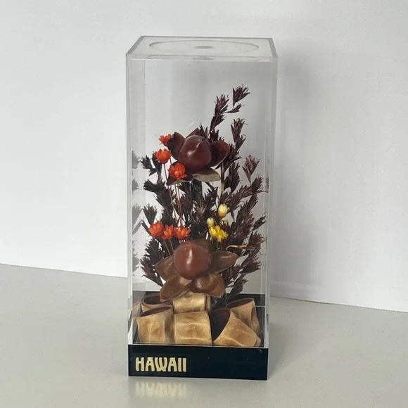 Vintage Hawaii Dried Baby Woodrose Volcano Uki Grass Acrylic Display Case 5.5