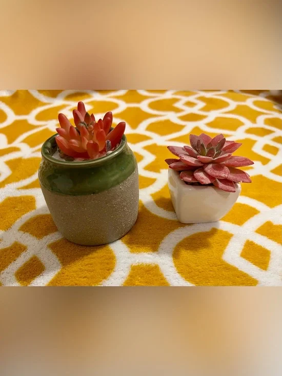 Set of 2 Artificial Succulent Plants in Ceramic Pots, Round Gray & White Square