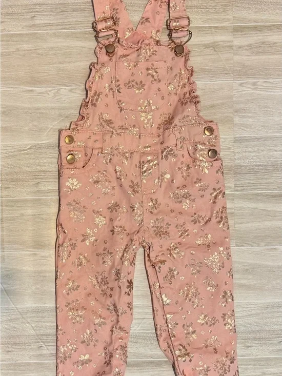 Source Unknown Pink Floral Overalls with Gold Accents