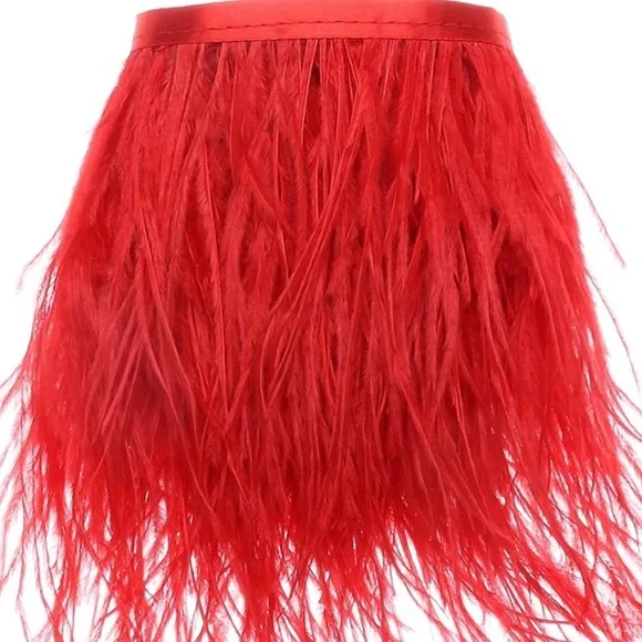 CURIO + KIND feathers skirt red short girl formal