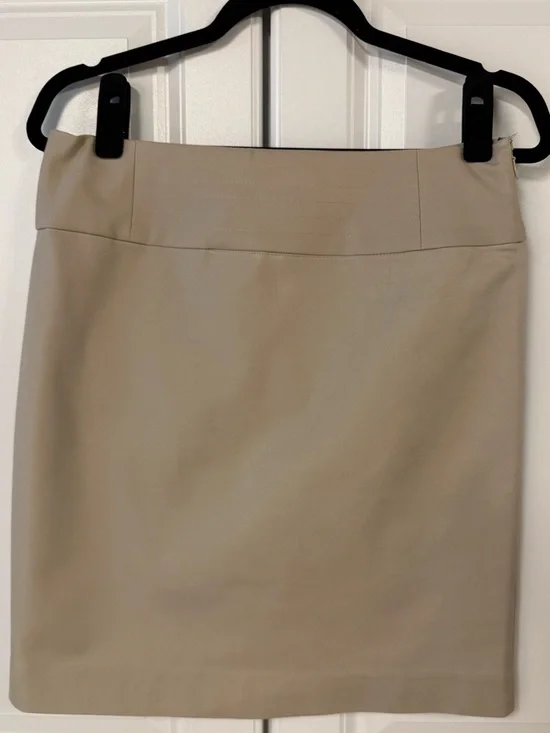 Banana Republic Pencil Skirt
