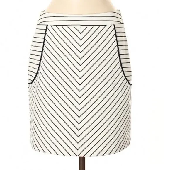 Darjoni White and Navy Striped Skirt