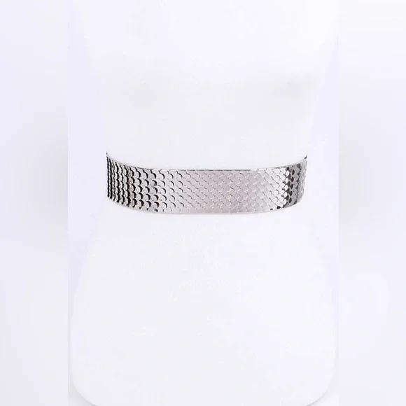 Metal Fashion Statement Belt
