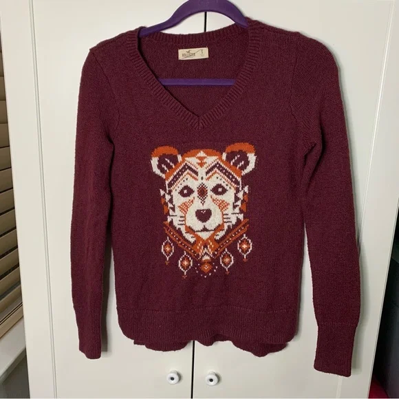Hollister Native Bear Design V-neck Sweater