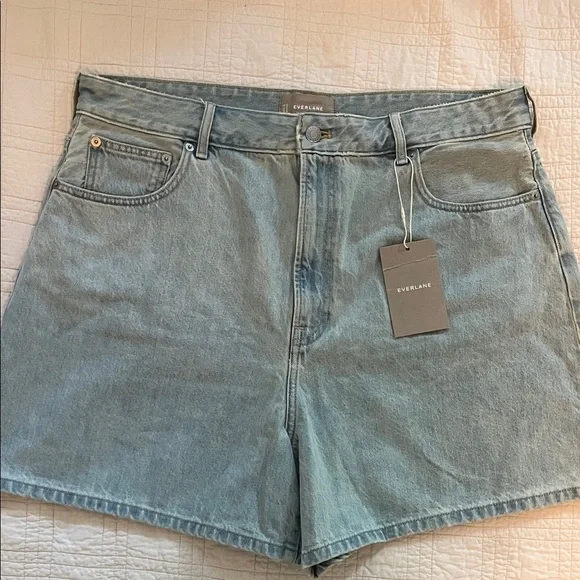 Everlane Light Blue Denim Jean Shorts
