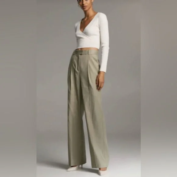 Babaton Aritzia Sadiki‎ Linen Blend Pleaded Trousers Size 8 Basil Tan Color