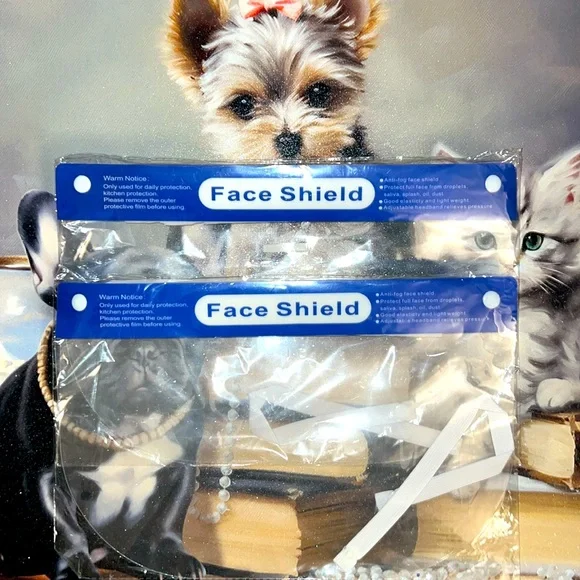 $15 sale for Two Face shields