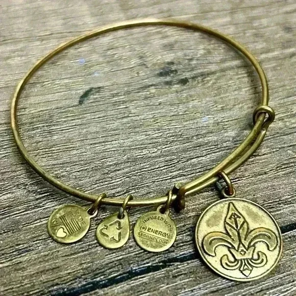 Alex and Ani (+) Energy 2014 Fleur De Lis Charm Bangle Bracelet