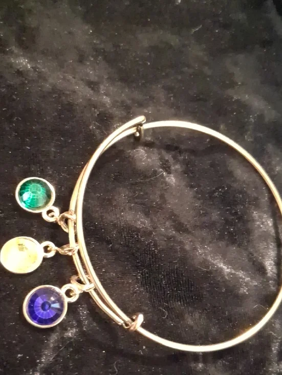 Warner Bro. Gold-Tone Charm Bangle Bracelet with Green, Yellow and Purple Charms