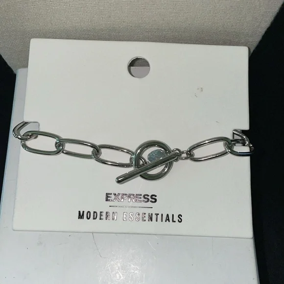 EXPRESS Silvertone Link, toggle clasp bracelet