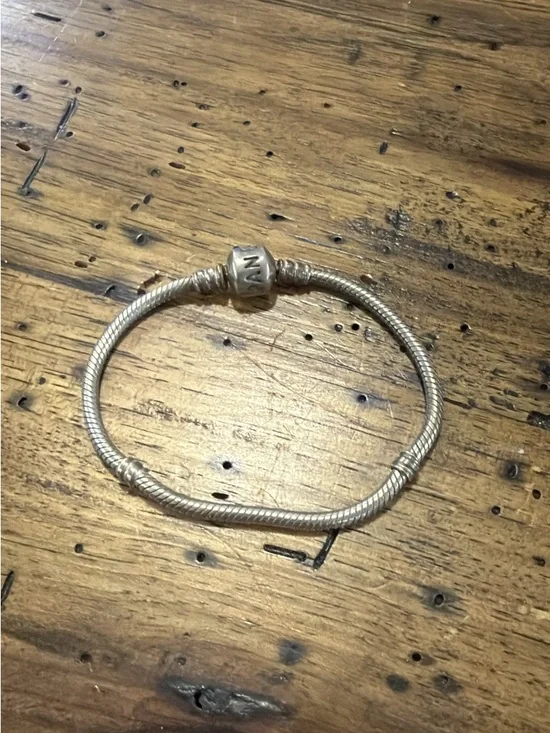 Pandora Moments Ale sterling silver bracelet preowned
