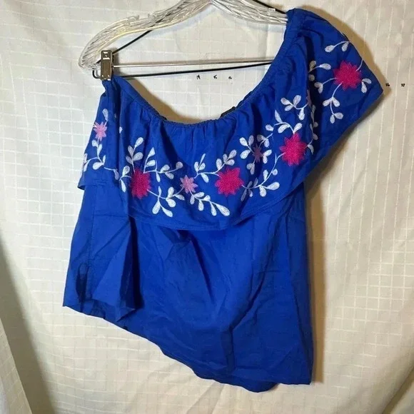 Ann Taylor loft Size medium one shoulder embroidered Blue Blouse Ruffle shirt