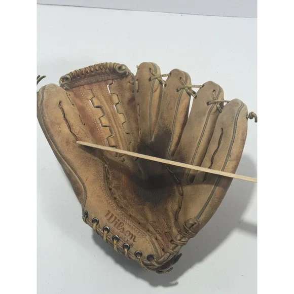 Wilson 