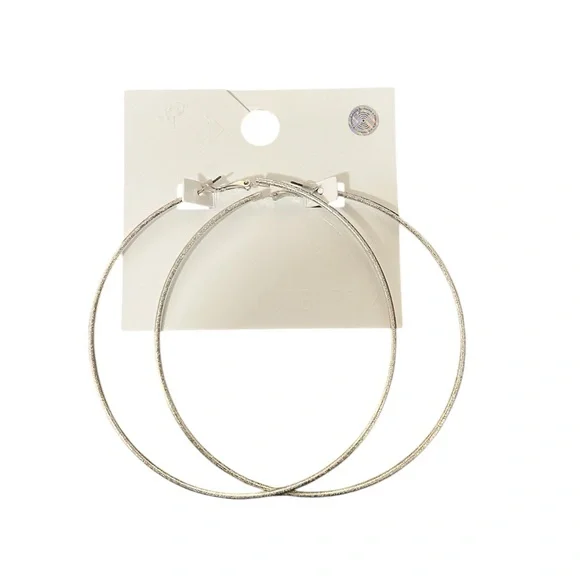Large Silver Hoop Earrings