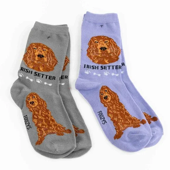 Irish Setter Hunting Gundog Dogs Rescue Friendly Animal Dog Foozys Socks
