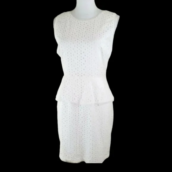 Max & Cleo~Women's Size 8~White Lace A-Line Career Ware to Work Dress NWT $128.0