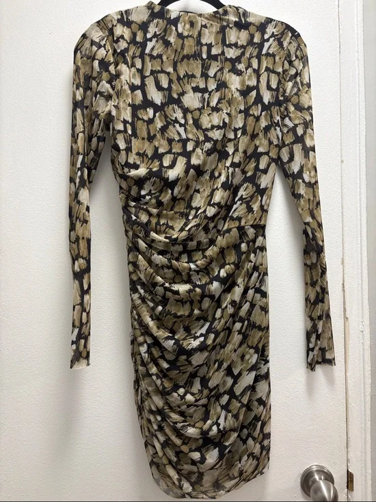 ZARA Long-Sleeve Ruched Mesh Dress