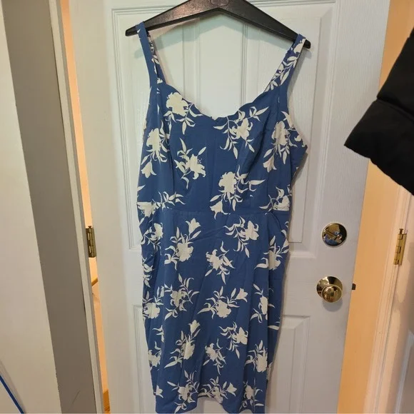 41 Hawthorn Blue Floral Scallop Neck Mini Dress Size 1x