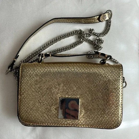 Zara Snakeskin Pattern Gold Small Bag Crossbody