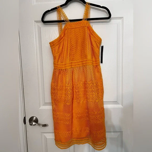 NWT Tahari ASL On‎ My Mind Honey Dress 2