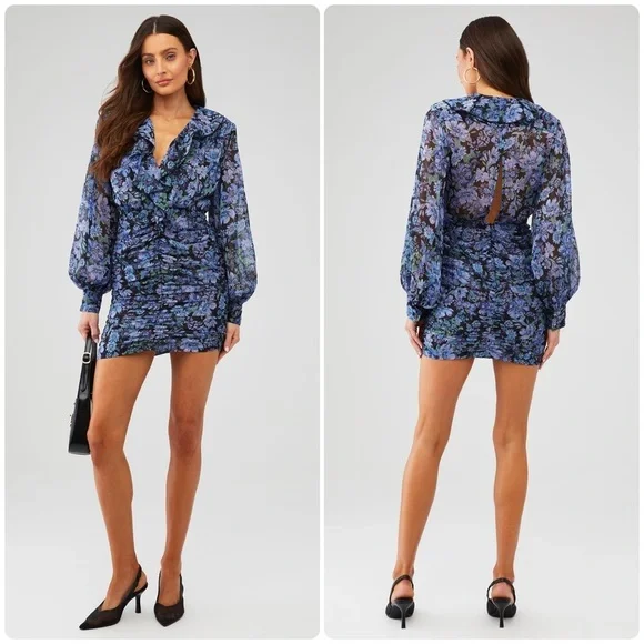 New! Sabina Musayev Lark Blue Floral Chiffon Long Sleeve Mini Dress 💙 Small NWT!