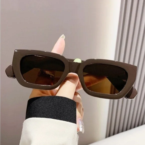 Chic Brown Sunglasses