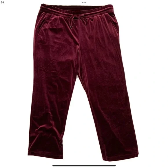 Torrid Burgundy Velour Pants Stretch Velvet Pull On Elastic Waist Size 18/20
