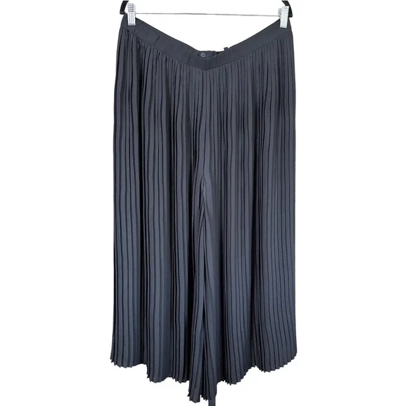 EUC Eileen Fisher Knife Pleated Wide Ankle Pants‎ Sz L Black Skirt Chic