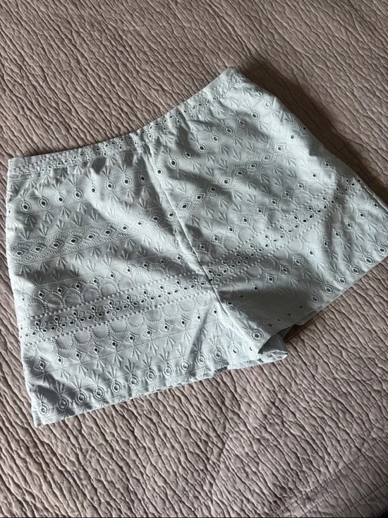 Blue Rain by Francesca's Light Blue Eyelet Lace Shorts - Large