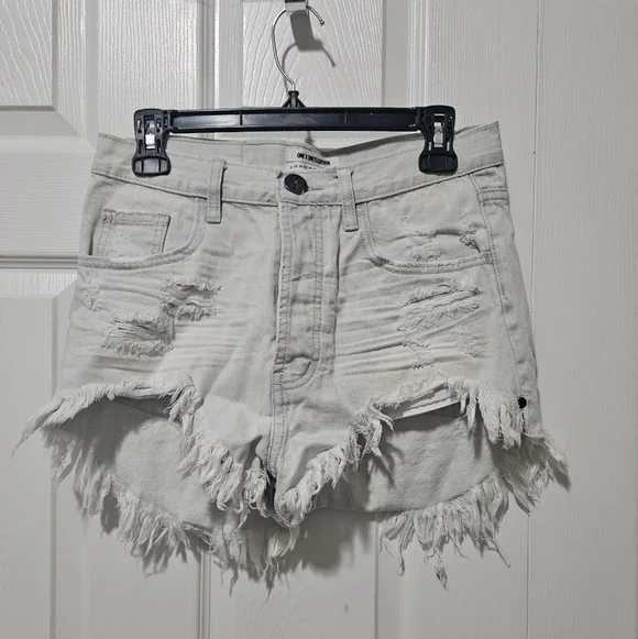 One X One Teaspoon Distressed Denim Shorts 25