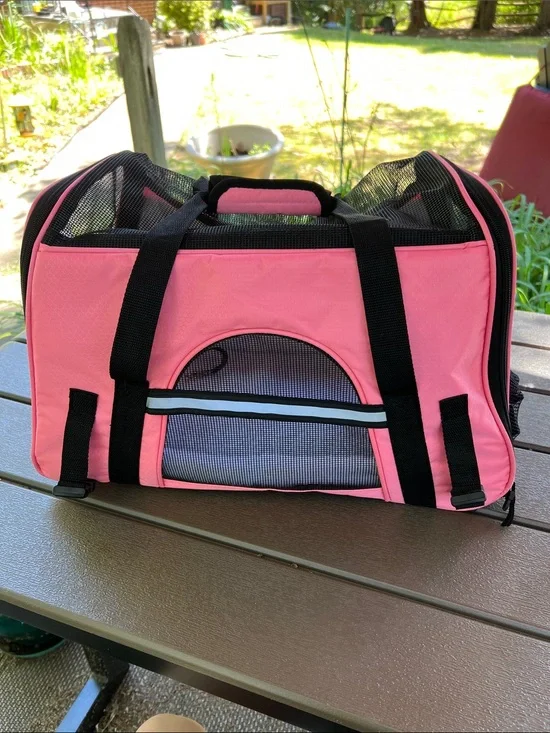 Pet Ami Large Pet Carrier with Mesh Ventilation