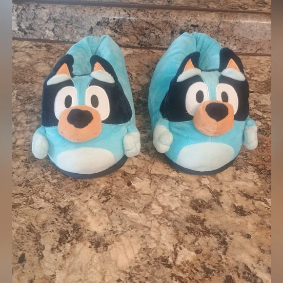 Blue Slippers 7/8