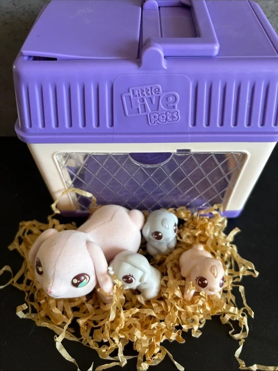 Small Pet Carrier: Hutch Playset