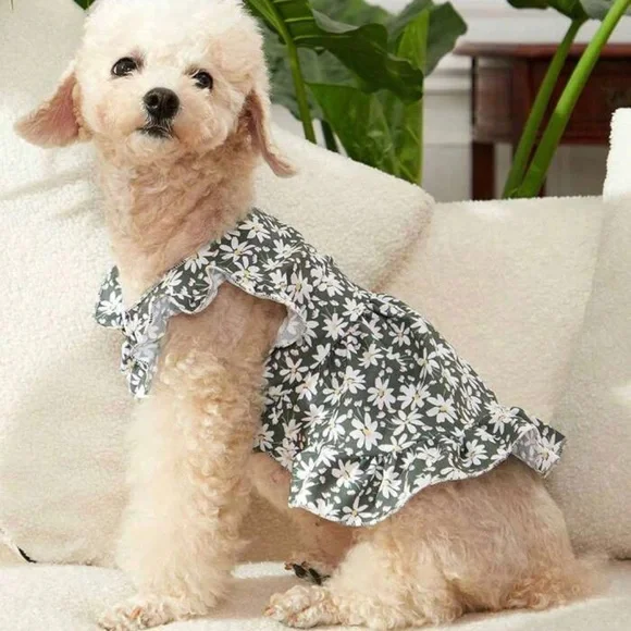 Olive green and white daisies small pet dress, large