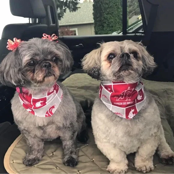 Dog or Cat Scarves S-M-L WSU