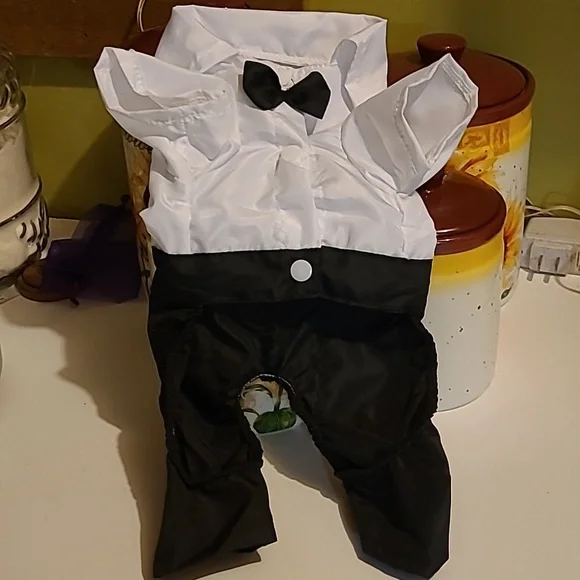 Small dog tuxedo