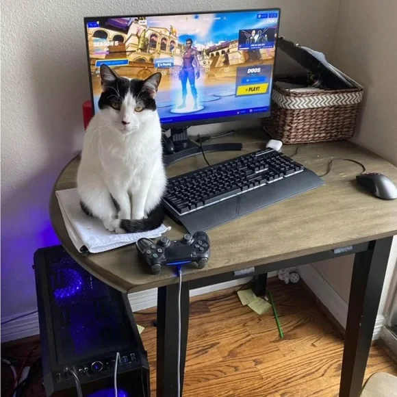 Gaming PC for sale! $600 OBO. Shoot me an offer. Just moved and don’t have room.