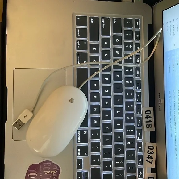 Apple USB mouse