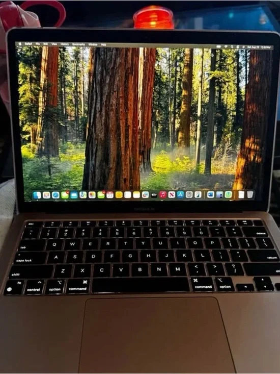 Apple MacBook