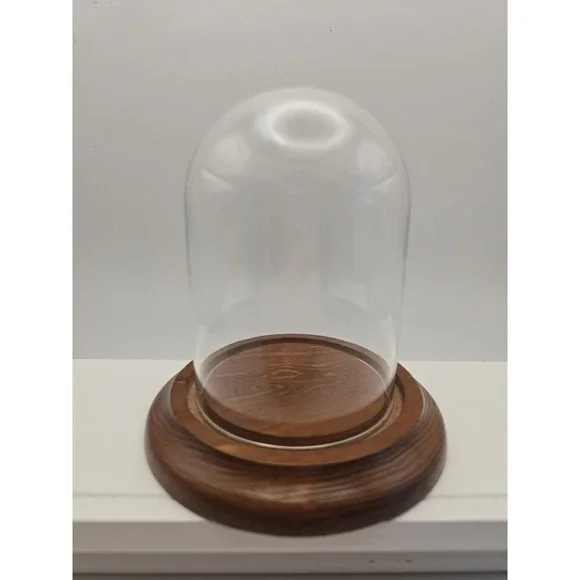 Small Glass Wood Base Dome Display