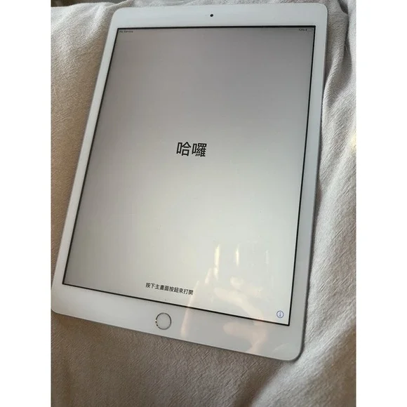7th Generation Apple iPad In Perfect Condition Barley Used