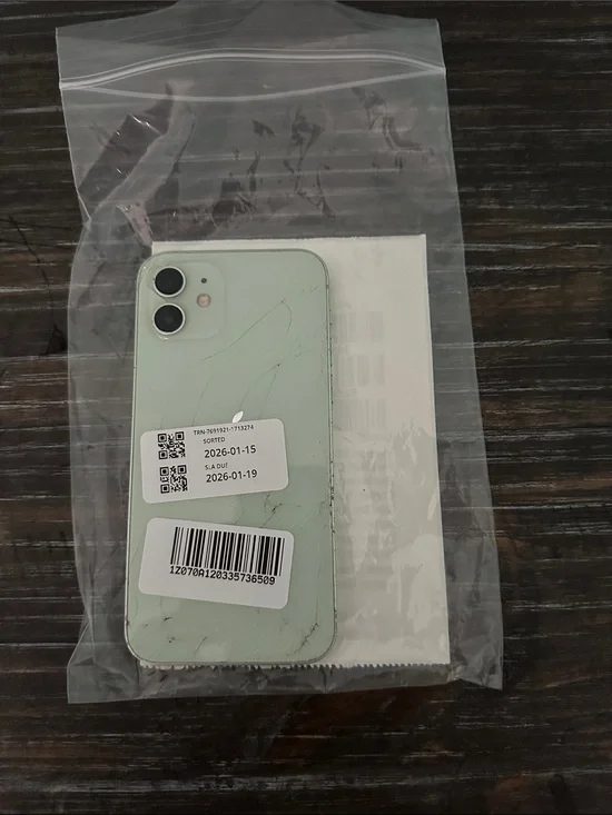 Apple iPhone Light Green Rear Housing with Dual Camera Cutouts