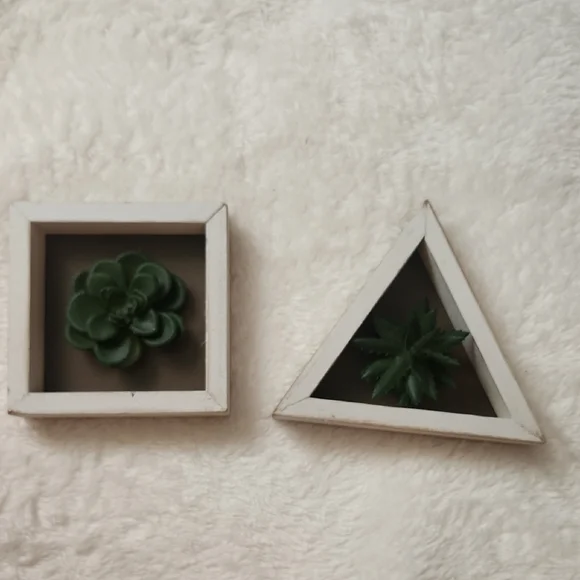 White Framed Rustic Succulent Wall Decor Set