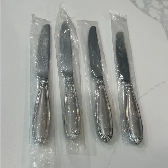 Princess House 4pc Dinner knife.