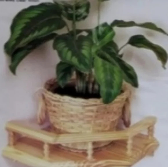 S&s ~ Solid Pine Gallery Shelf, 11-3/4