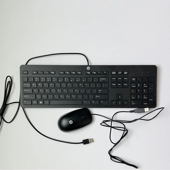 HP Black Keyboard and Mouse Set