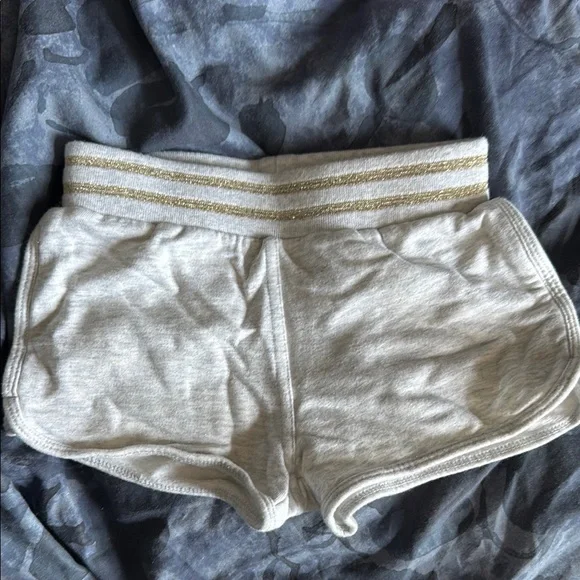 Gray Shorts with Gold Stripes